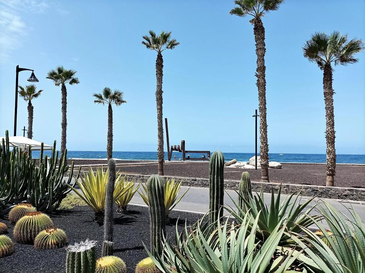 Villa Joy Tenerife Charming House San Miguel de Abona