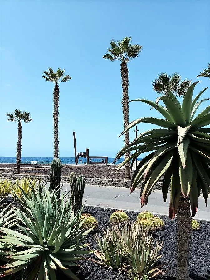 Joy Tenerife Charming House San Miguel de Abona 0*,  Spain